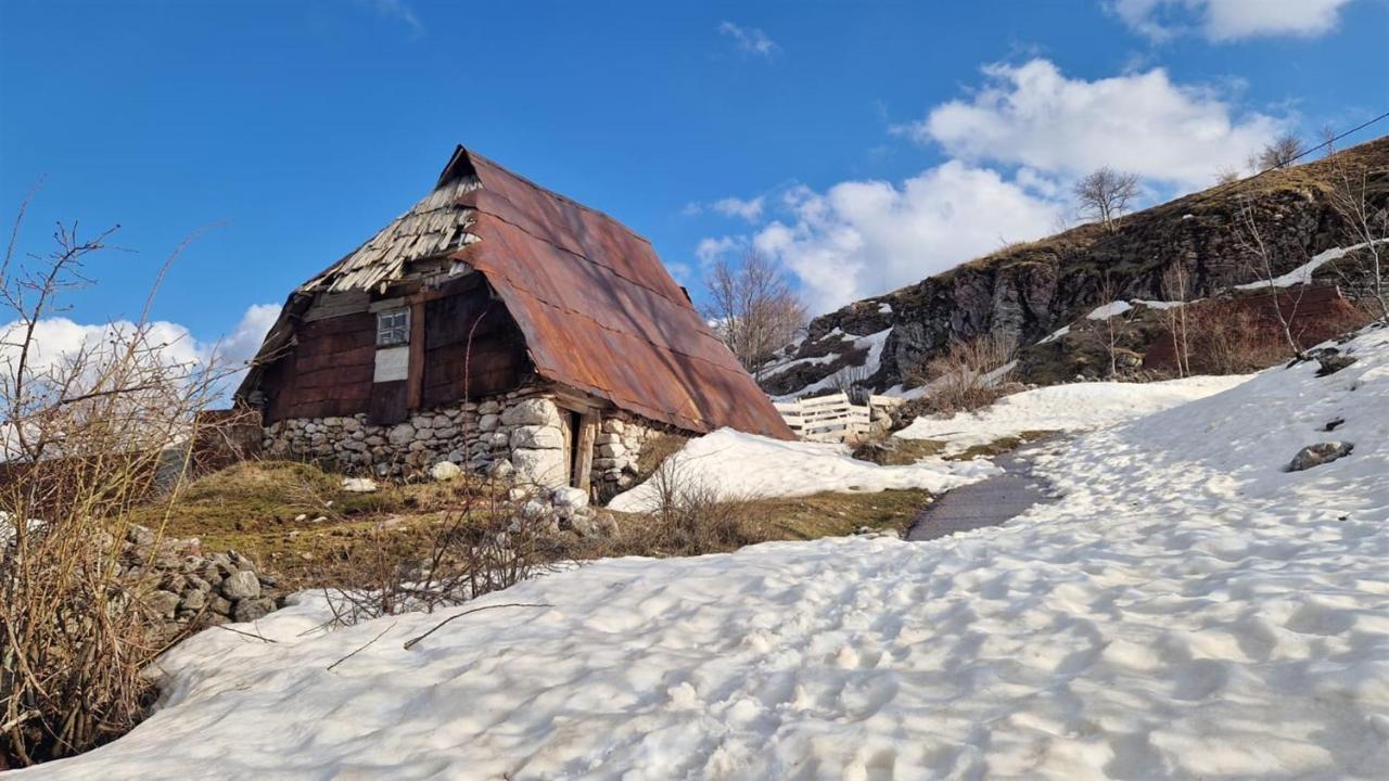 Winter Park Residence Белашница Экстерьер фото