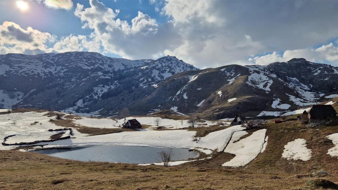 Winter Park Residence Белашница Экстерьер фото