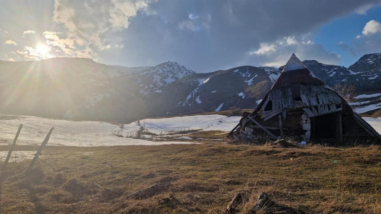 Winter Park Residence Белашница Экстерьер фото