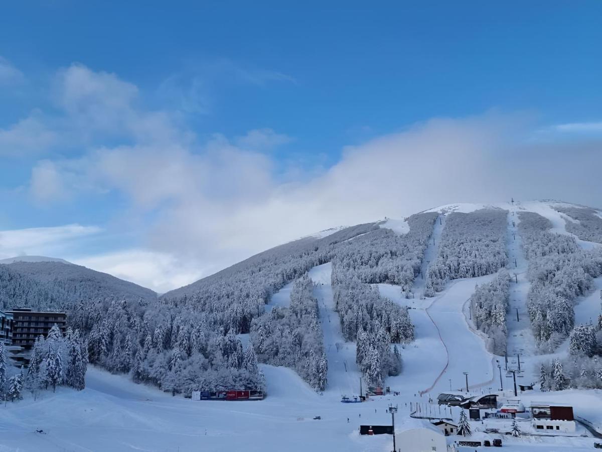 Winter Park Residence Белашница Экстерьер фото